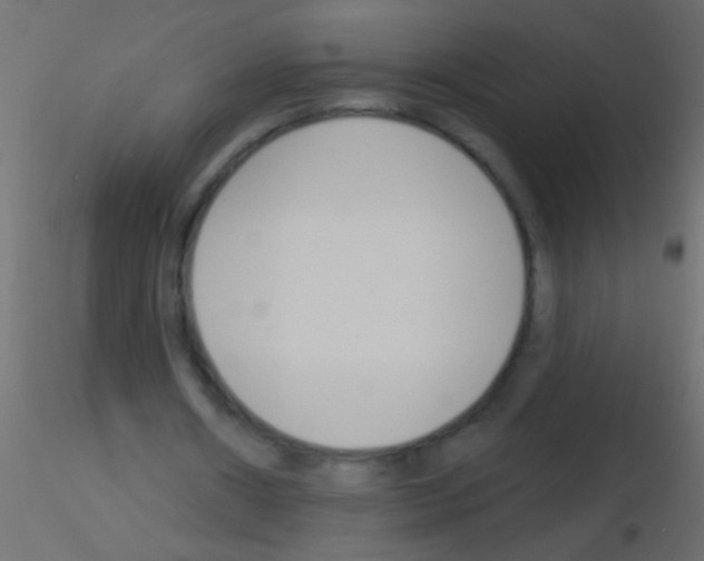 X0000115830482200912241959