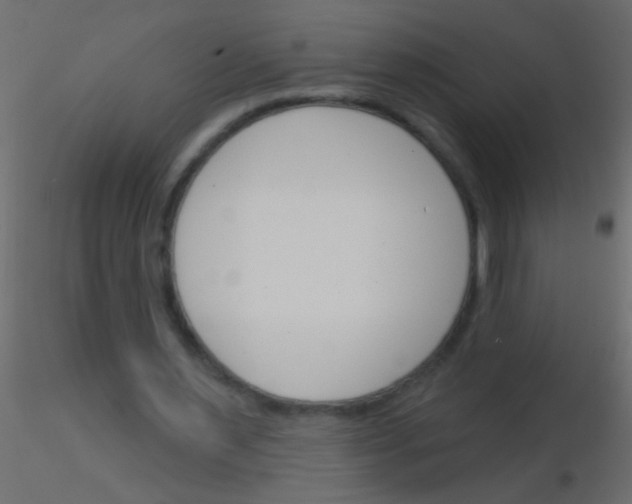 X0000115830483200912241959