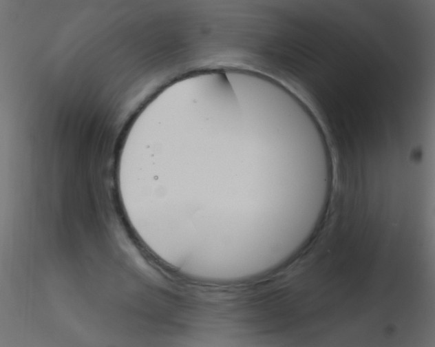 X0000115830485200912241959