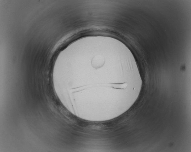 X0000115830488200912241959