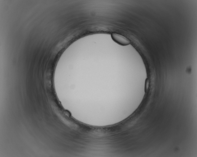 X0000115830489200912241959