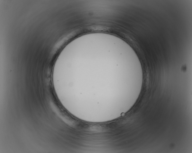 X0000115830490200912241959