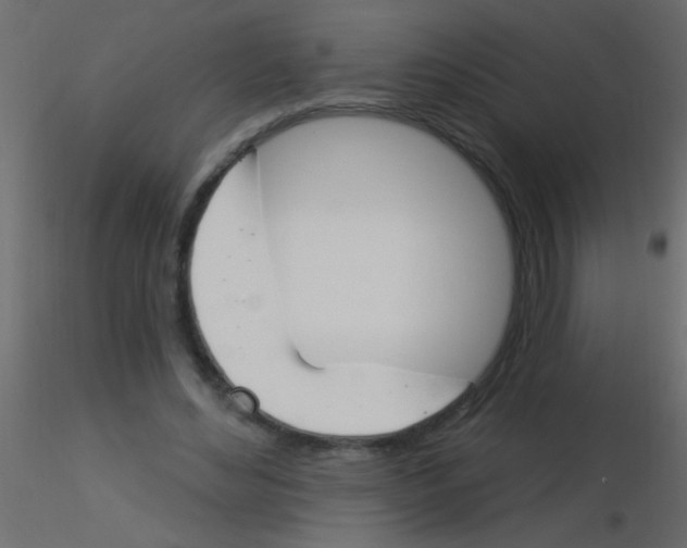 X0000115830492200912241959