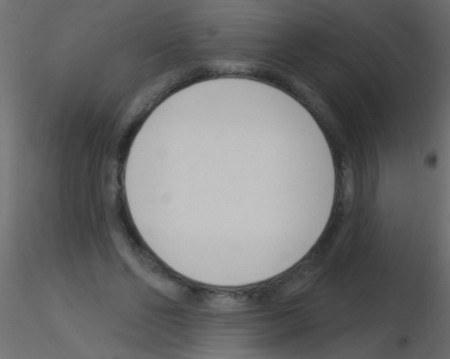 X0000115830494200912241959