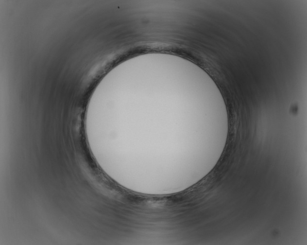 X0000115830495200912241959