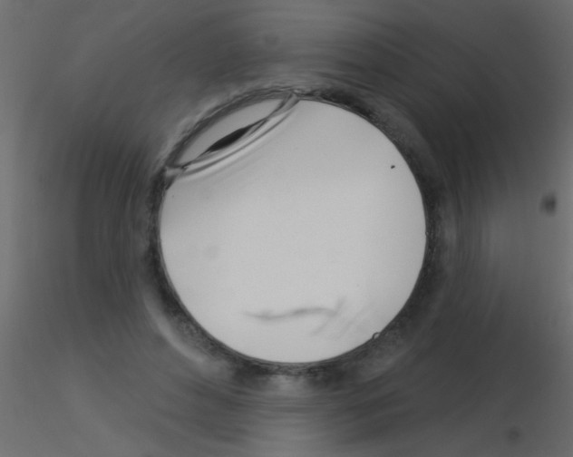 X0000115830496200912241959