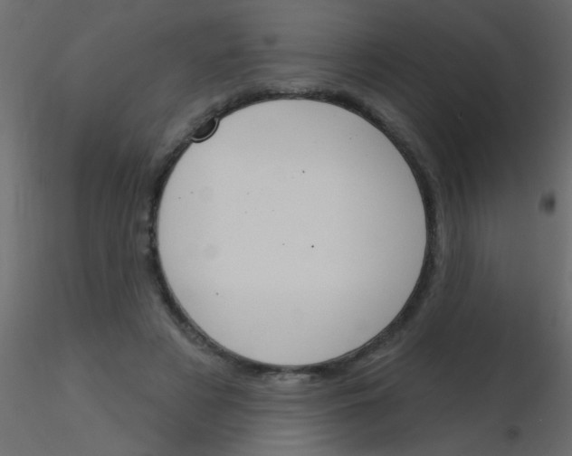 X0000115830497200912241959