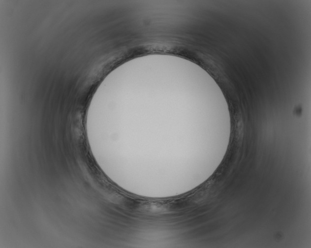 X0000115830498200912241959