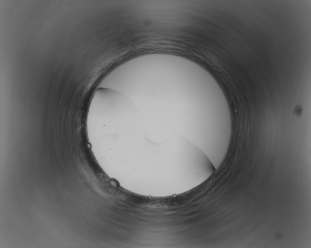 X0000115830500200912241959