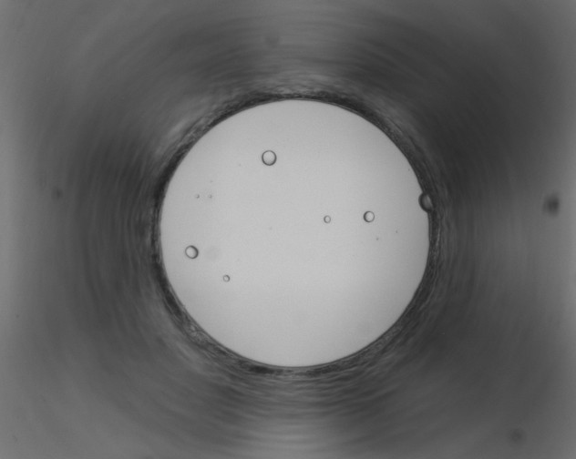 X0000115830501200912241959