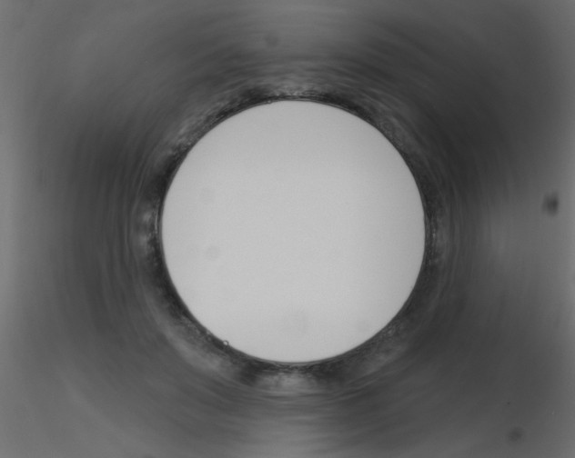 X0000115830503200912241959