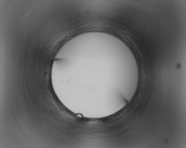 X0000115830505200912241959