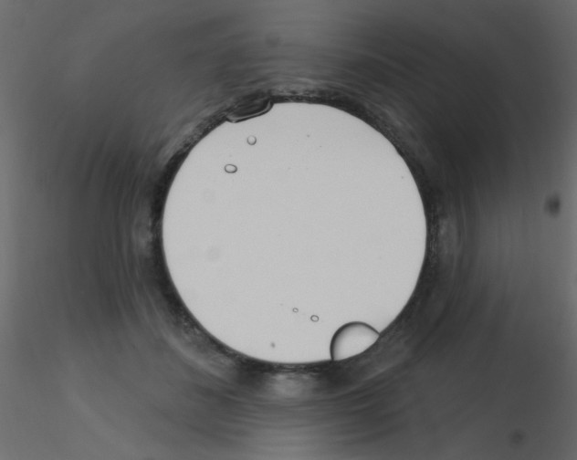 X0000115830508200912241959