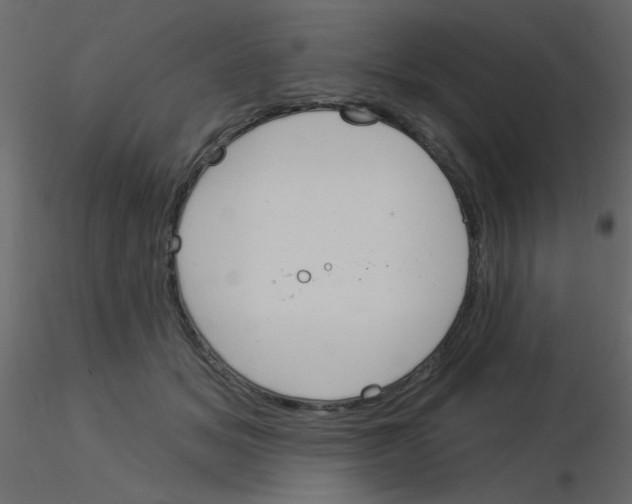 X0000115830509200912241959