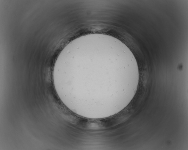 X0000115830510200912241959