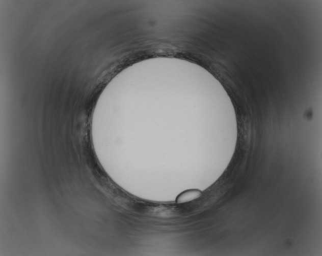 X0000115830511200912241959