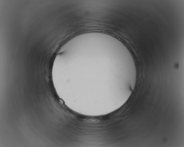 X0000115830512200912241959