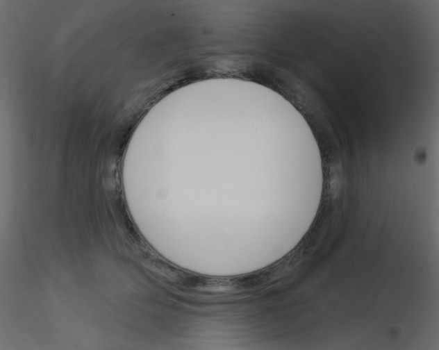 X0000115830514200912241958