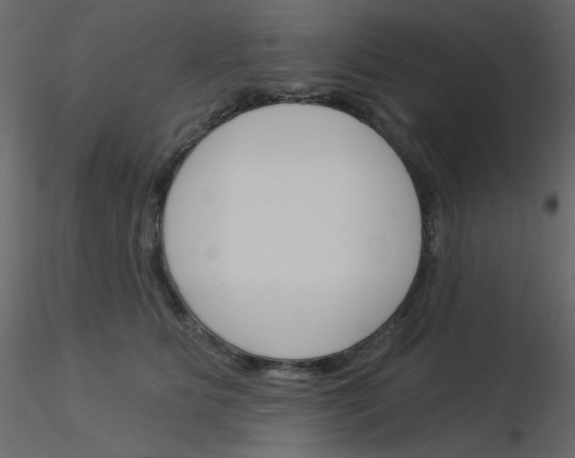 X0000115830515200912241958