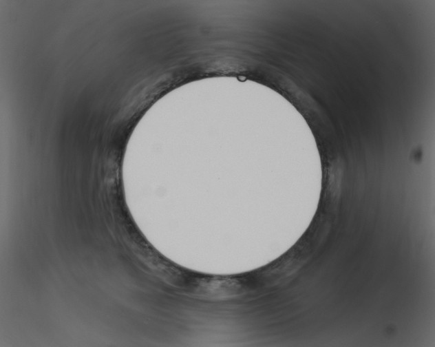 X0000115830517200912241958