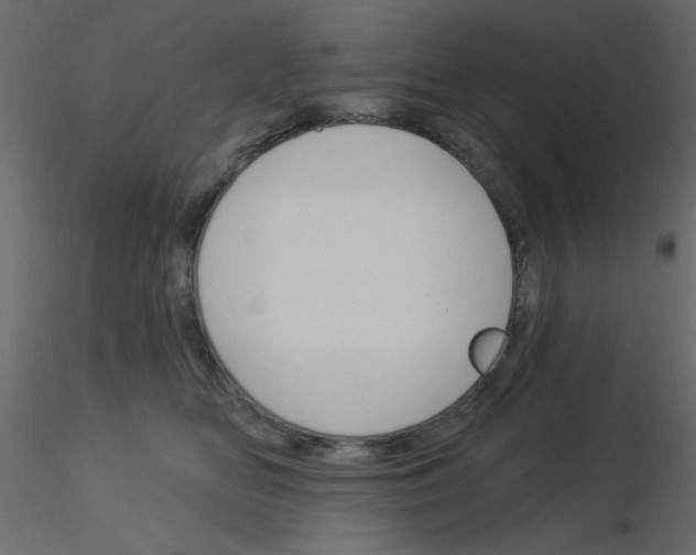 X0000115830518200912241958