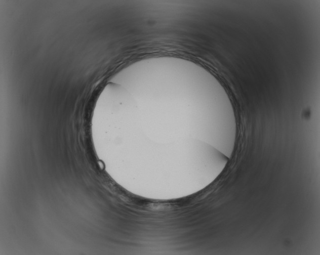 X0000115830520200912241958