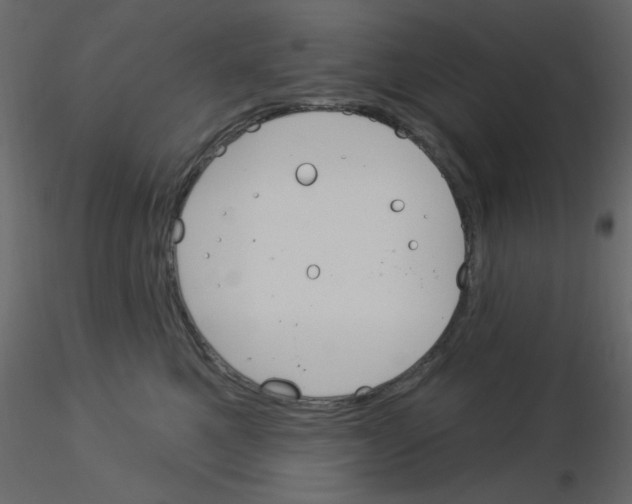 X0000115830521200912241958