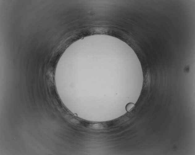 X0000115830522200912241958