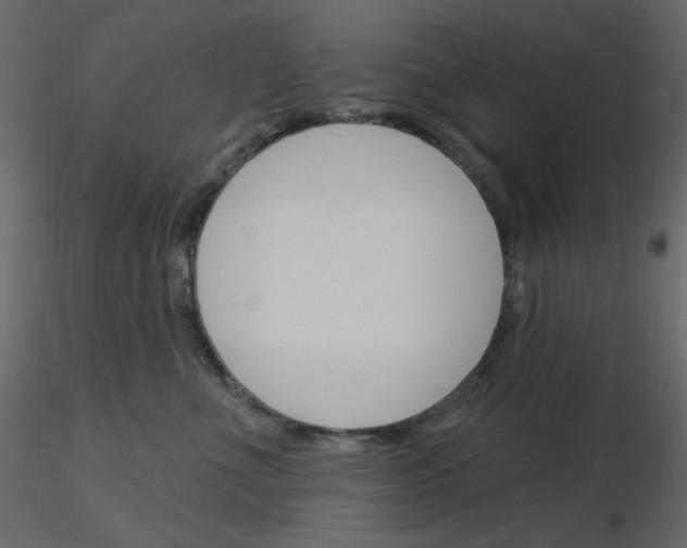 X0000115830523200912241958