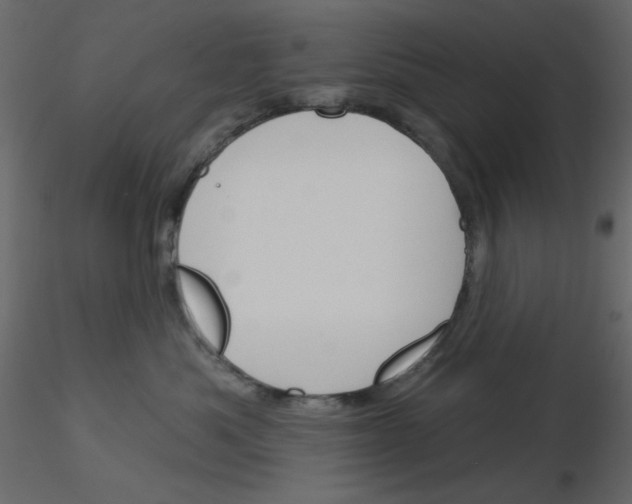 X0000115830525200912241958