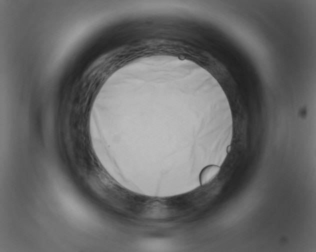 X0000115830526200912241958