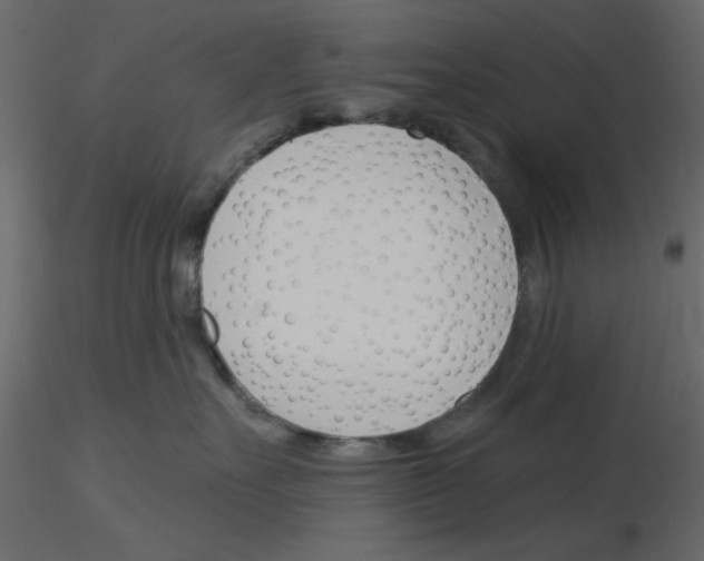 X0000115830527200912241958