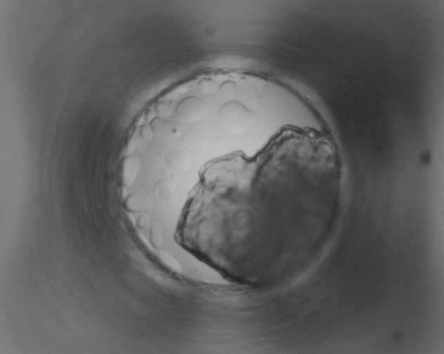 X0000115830529200912241958