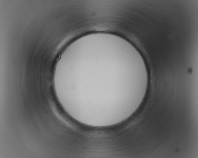 X0000115830530200912241958