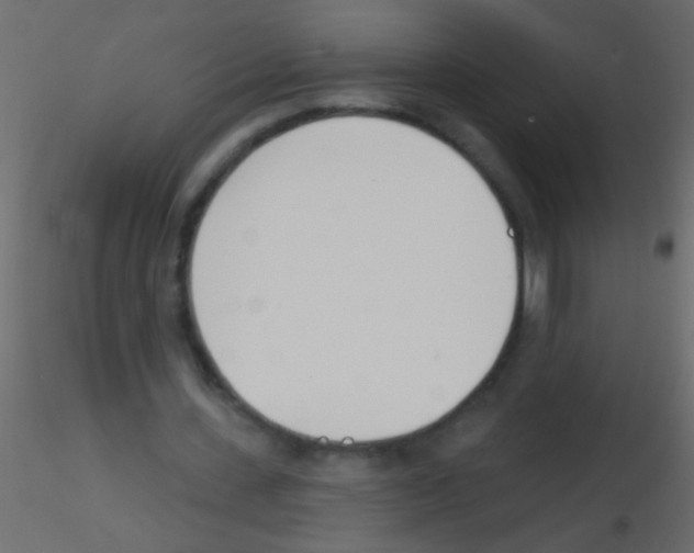 X0000115830531200912241958