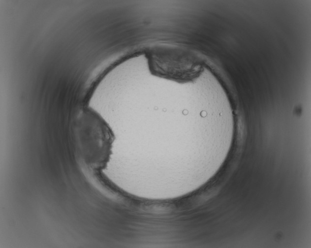 X0000115830533200912241958