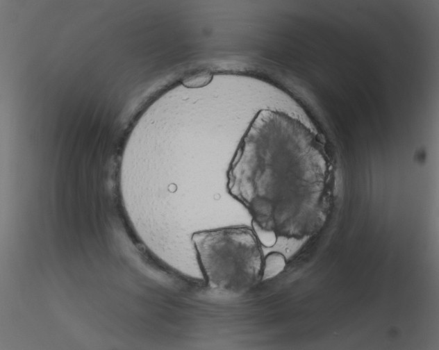 X0000115830537200912241958