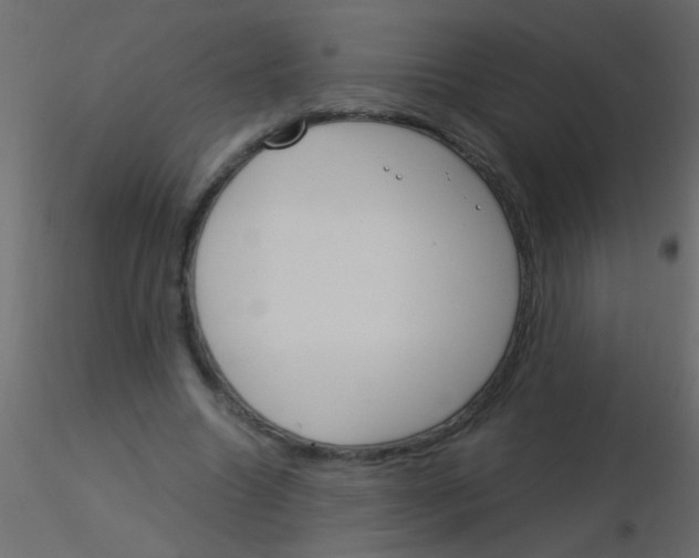 X0000115830538200912241958