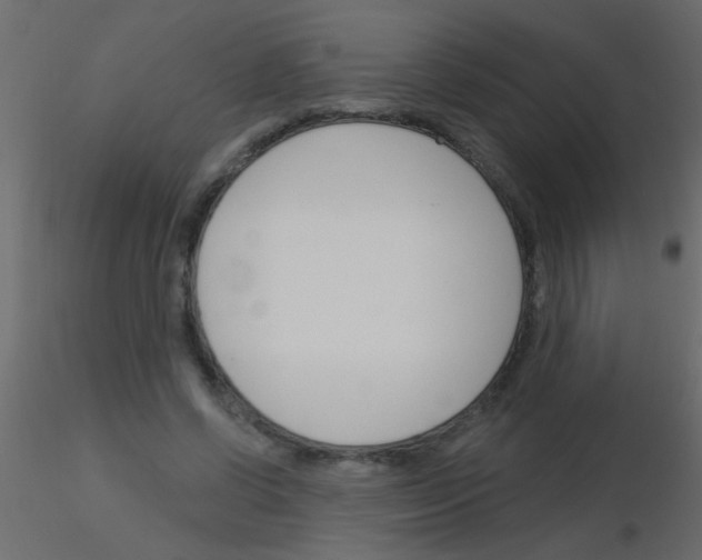 X0000115830542200912241958