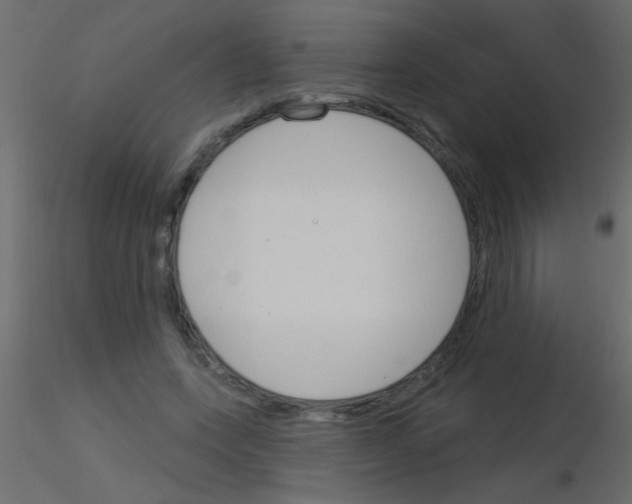 X0000115830543200912241958