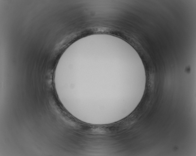 X0000115830545200912241958