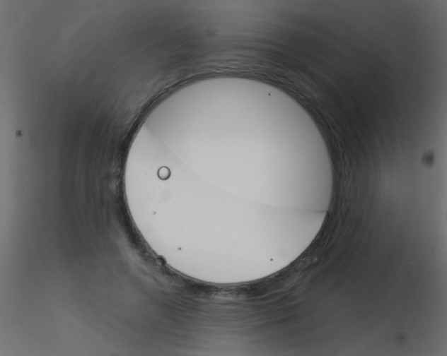 X0000115830546200912241958