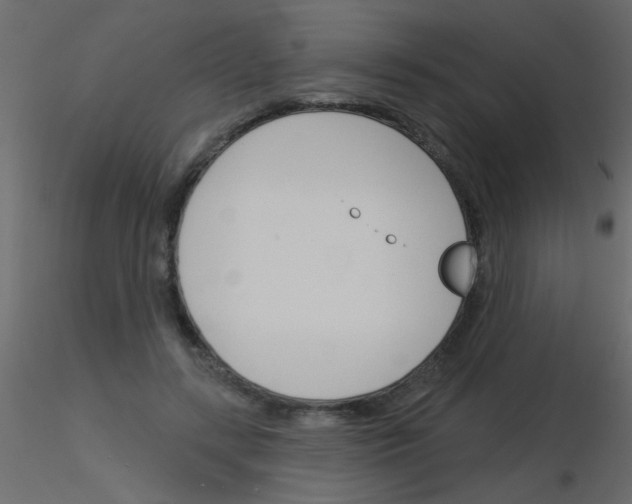 X0000115830547200912241958