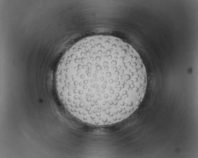 X0000115830550200912241958