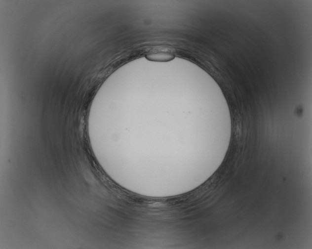 X0000115830551200912241958