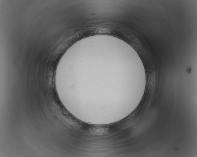 X0000115830553200912241958