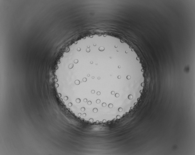 X0000115830555200912241958