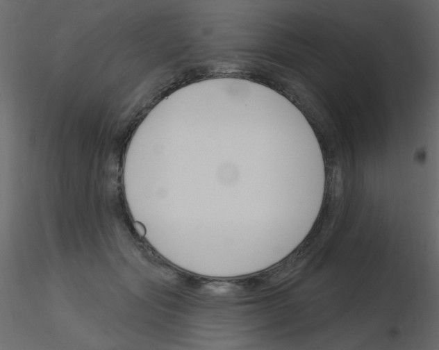 X0000115830557200912241958