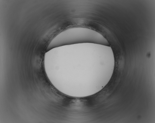 X0000115830558200912241958