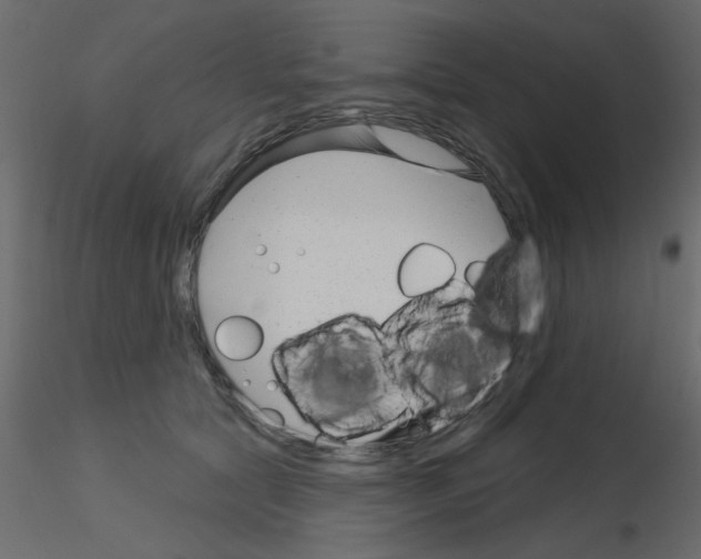 X0000115830561200912241958